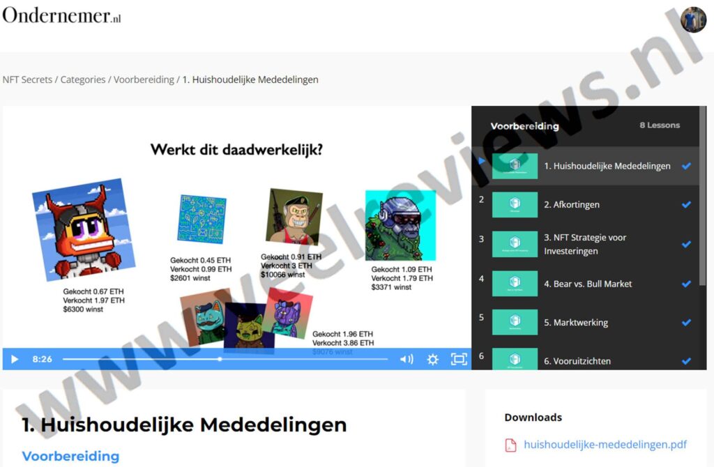 Op deze foto zie je de online omgeving van NFT Secrets