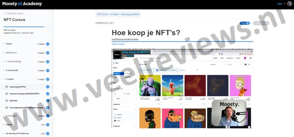 Op deze foto zie je Moosty´s NFT cursus online omgeving