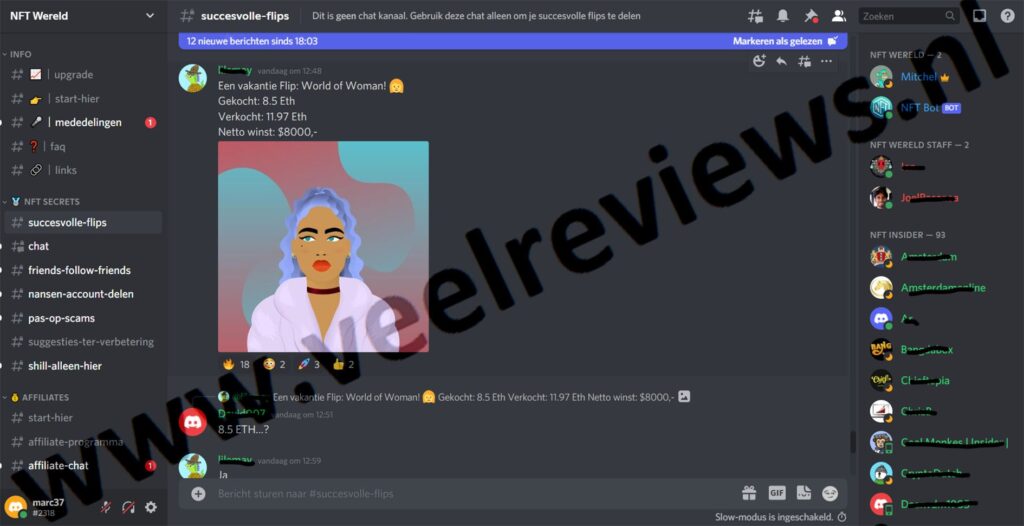 Op deze foto zie je NFT Secrets Discord Community binnen NFT Secrets