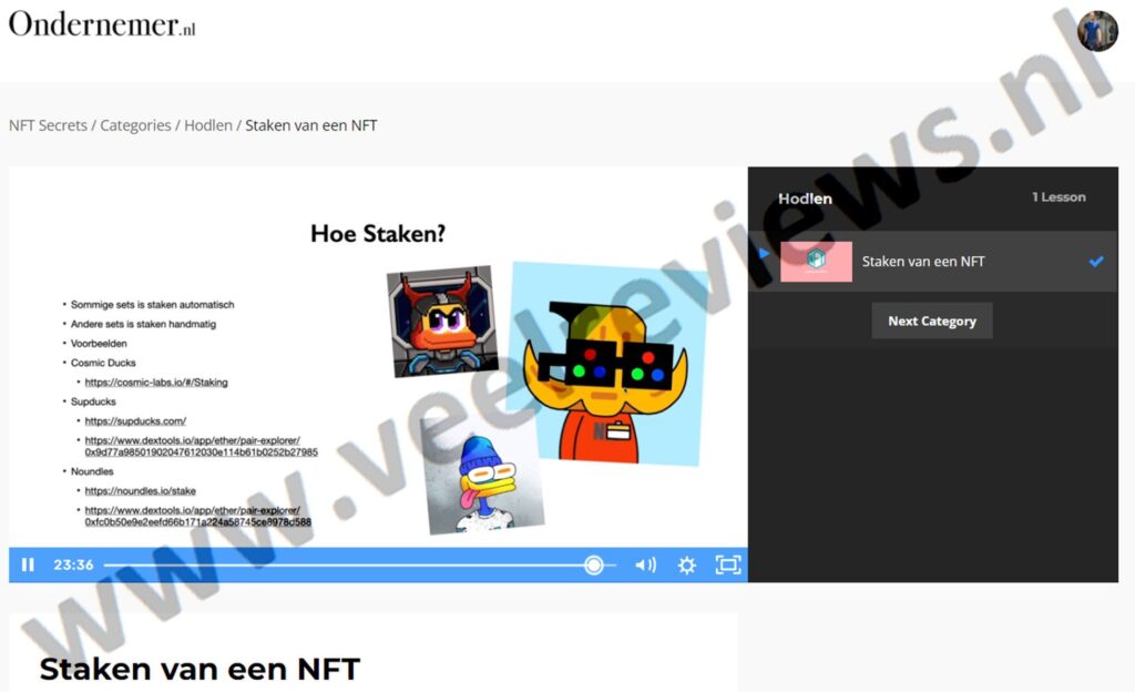 Op deze foto zie je Module 5 - Hodlen van NFT Secrets