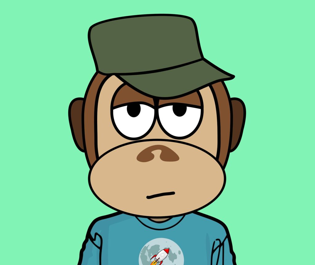 Op deze foto zie je een voorbeeld van een NFT